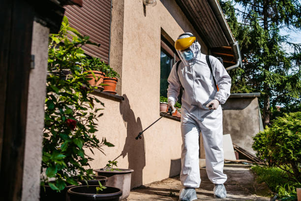 Best Wasp Removal Services  in Fairplay, GA