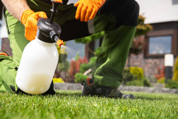 Pest Prevention Services in Fairplay, GA