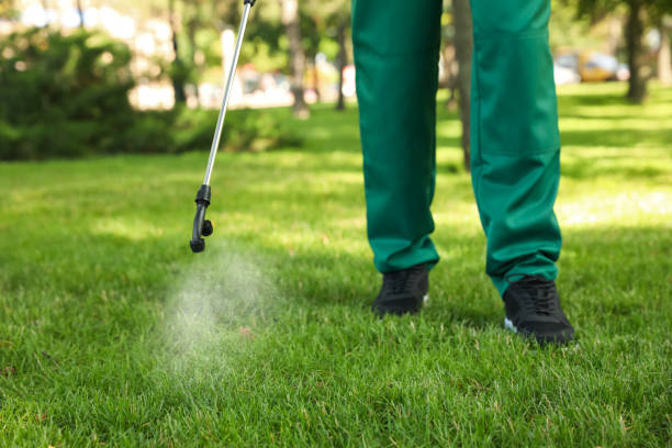 Best Emergency Pest Control  in Fairplay, GA