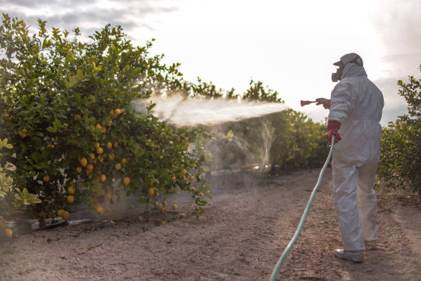 Best Pest Control Near Me  in Fairplay, GA