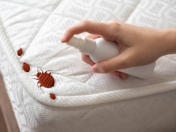 Best Pest Removal Services  in Fairplay, GA