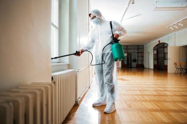 Best Residential Pest Control  in Fairplay, GA