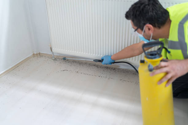 Best Best Pest Control Companies  in Fairplay, GA