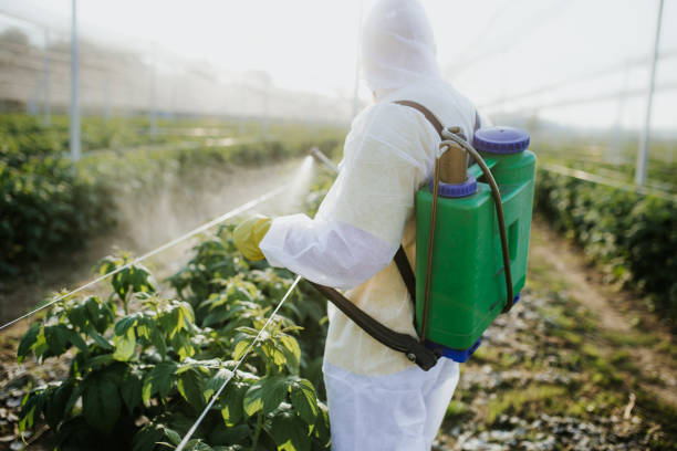 Best Pest Prevention Services  in Fairplay, GA